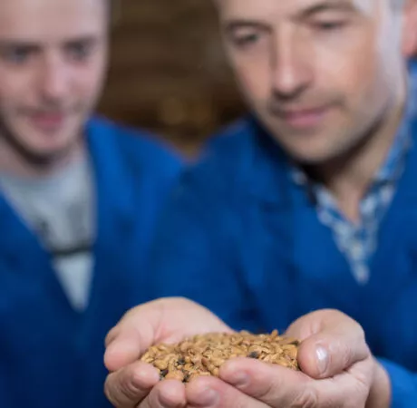 rémunération des apprentis agricoles